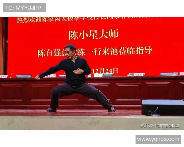 陈自强太极的传承与创新探索中华传统武术的魅力与智慧