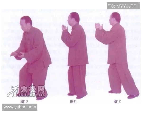 太极拳小架的基本功与实战应用探讨与技巧分享 太极拳小架的基本功与实战应用探讨与技巧分享